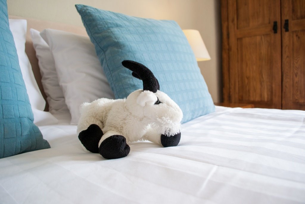 Castle Hill Guest House Suite 2 Bed With Cuddly Goat